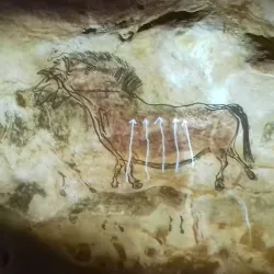 Grottes de Lascaux (nearby) - Brive-la-Gaillarde