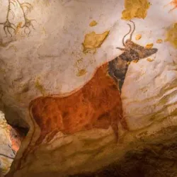 Grottes de Lascaux (nearby) - Brive-la-Gaillarde