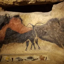 Grottes de Lascaux (nearby) - Brive-la-Gaillarde