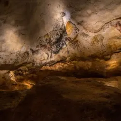 Grottes de Lascaux (nearby) - Brive-la-Gaillarde