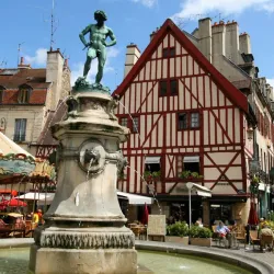 Dijon - Burgundy