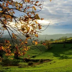 Morvan Regional Natural Park - Burgundy