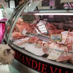Cagnes-sur-Mer Market - Cagnes-sur-Mer