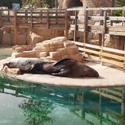Marineland Antibes (nearby) - Cagnes-sur-Mer