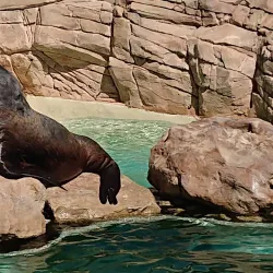 Marineland Antibes (nearby) - Cagnes-sur-Mer