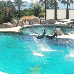 Marineland Antibes (nearby) - Cagnes-sur-Mer