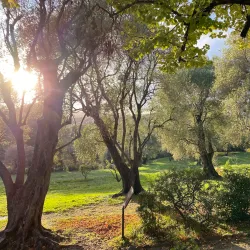 Musée Renoir (Renoir Museum) - Cagnes-sur-Mer