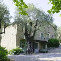 Musée Renoir (Renoir Museum) - Cagnes-sur-Mer