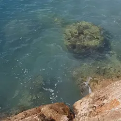 Plage de la Grande Rade - Cagnes-sur-Mer