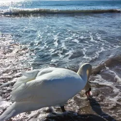 Promenade de la Plage - Cagnes-sur-Mer