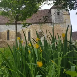 Église Saint-Pierre de Campagne - Campagne