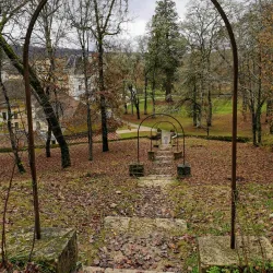 La Forêt de Campagne - Campagne