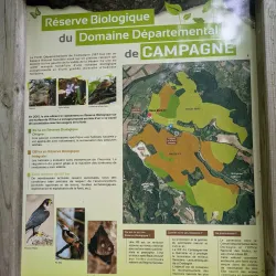 La Forêt de Campagne - Campagne