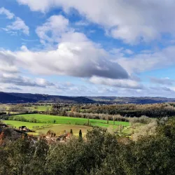 La Forêt de Campagne - Campagne