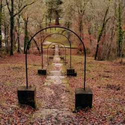 La Forêt de Campagne - Campagne