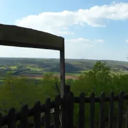 La Forêt de Campagne - Campagne