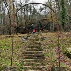 La Forêt de Campagne - Campagne