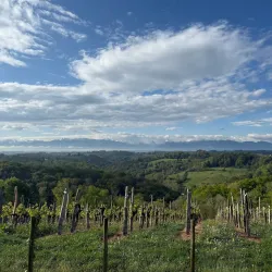 Local Artisanal Workshops - Campagne