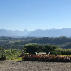 Local Artisanal Workshops - Campagne