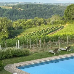 Local Artisanal Workshops - Campagne