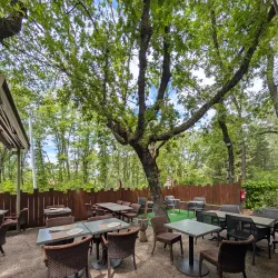 Local Gastronomy Experiences - Campagne