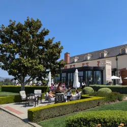 Local Vineyards and Wine Tasting - Campagne