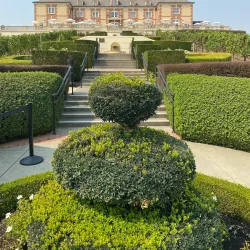 Local Vineyards and Wine Tasting - Campagne