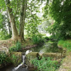 River Dordogne - Campagne