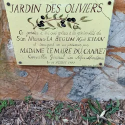 Jardin des Oliviers - Cannes