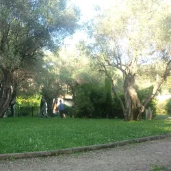 Jardin des Oliviers - Cannes