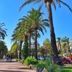 La Croisette - Cannes