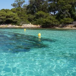 Île Sainte-Marguerite - Cannes