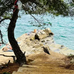 Île Sainte-Marguerite - Cannes