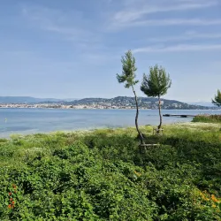 Île Sainte-Marguerite - Cannes