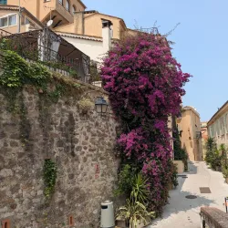 Le Suquet (Old Town) - Cannes