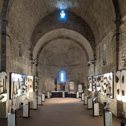 Musée de la Castre - Cannes