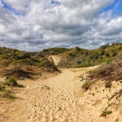 Maison de la Nature de la Dune Marchand - Cappelle-la-Grande