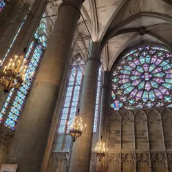 Cité de Carcassonne - Carcassonne