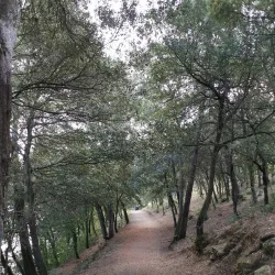 Lac de la Cavayère - Carcassonne
