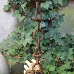 Musée de l'Inquisition - Carcassonne