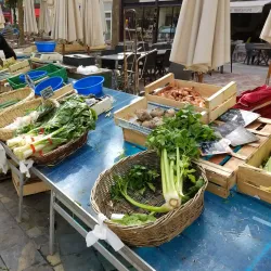Place Carnot - Carcassonne