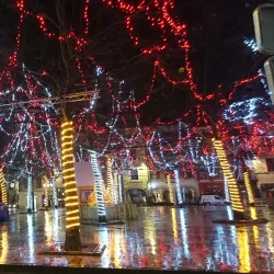 Place Carnot - Carcassonne