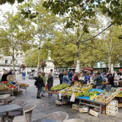 Place Carnot - Carcassonne