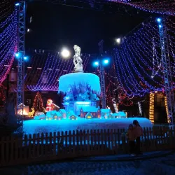 Place Carnot - Carcassonne