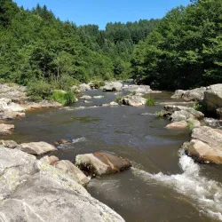 Agout River - Castres