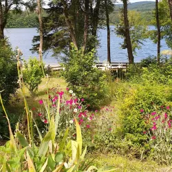 Agout River - Castres