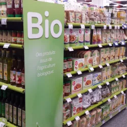 Castres Market - Castres