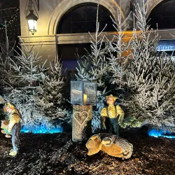 Jean Jaurès Park (Parc Jean Jaurès) - Castres