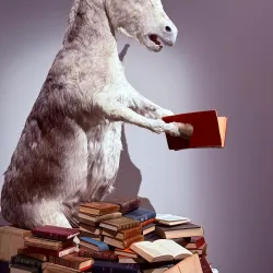 Maison des Métiers du Bois (Woodworking Museum) - Castres