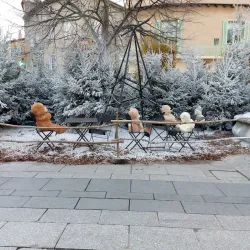 Place Jean Jaurès - Castres